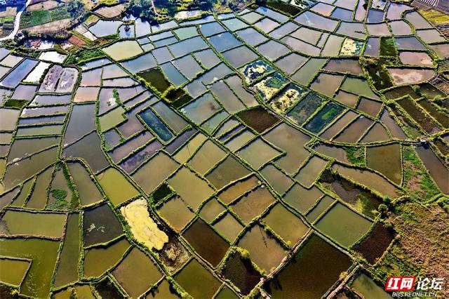 岁暖时刻丨峰峦为幕，稻田作镜！沐宦头村的黄昏是自然最工整的构图