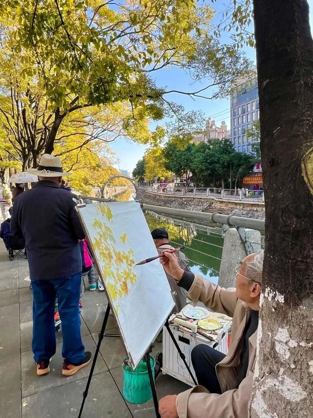 超绝出片攻略！滇池畔的秋天，把“童话”搬进了现实！这一波必须冲~