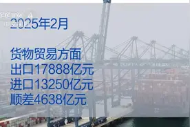 2025外贸首战告捷！2月外贸数据彰显中国经济“硬核”韧性图片