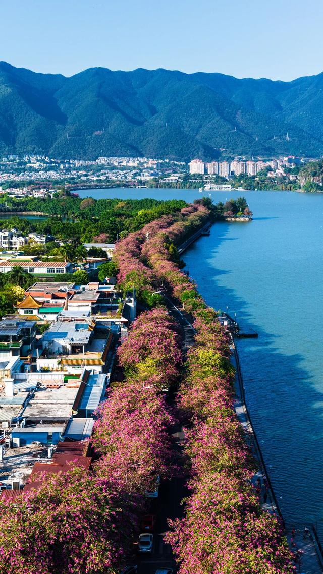 假如秋冬有颜色，肇庆便是一场多彩盛宴～