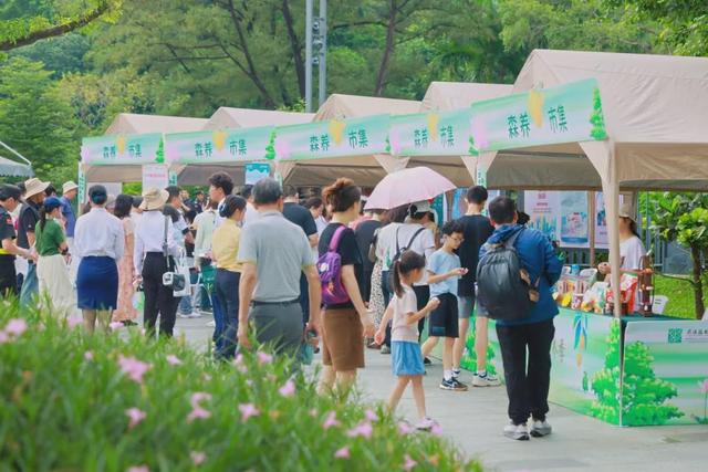 绿美云山丨以森林入药 漫享云山身心疗愈