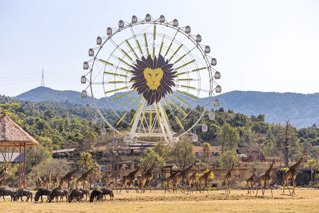 从北江到大湾区，清远为何是广东隐藏的“潮”城？