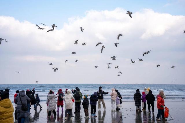 “雪窝”再登“热搜”：一场暴雪如何重构冬游叙事？