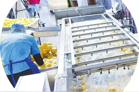 发力“微笑曲线”两端 雷州土特产出圈图片