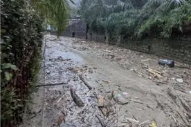 自6月以来巴基斯坦暴雨及洪水灾情已致超500人死亡图片