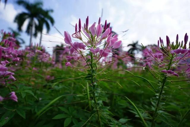 趁秋色浪漫，见一面吧