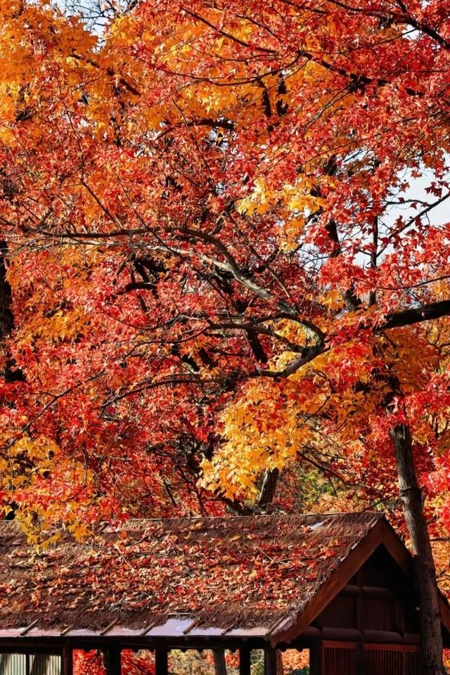 跟着课本游赣鄱！