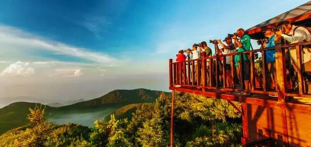 层林尽染，走进保康的秋日诗篇！