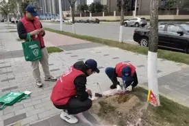 警惕！严重可致命，正在高发期……图片