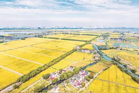 江苏首个县域土地综合整治的“吴江探索”图片