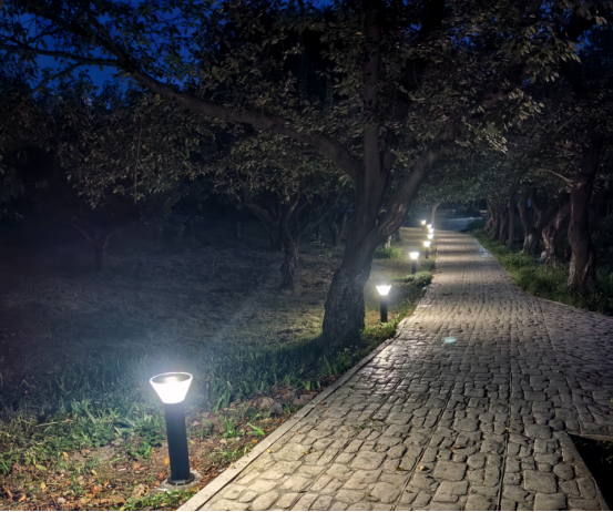 焕新归来！沂水东皋公园：四季有景夜有光 古塔生辉美出圈