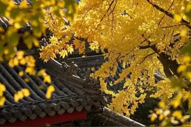 总有一天，还会继续奔驰在那条长路图片