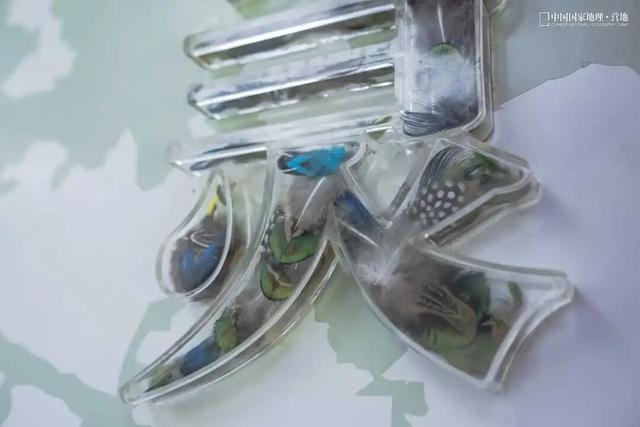 波密零碳自然驿站矩阵落成