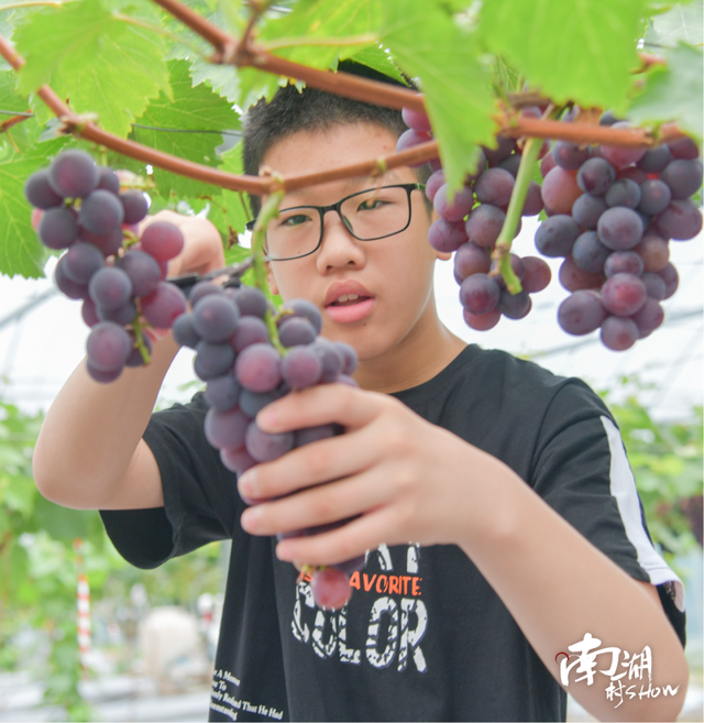 南湖村show｜果香江南