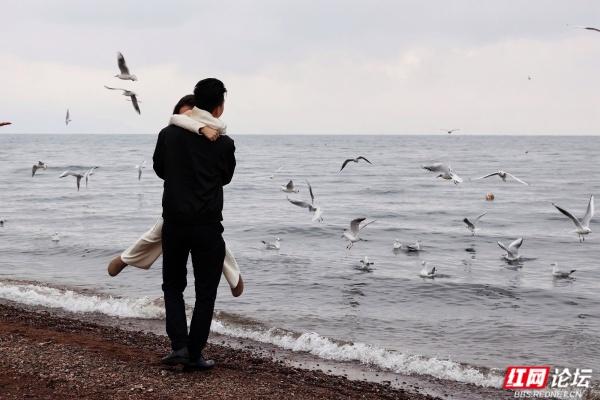 岁暖时刻丨抚仙湖边：海鸥和游客的“湖岸小派对”