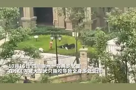 果然视频|在山东，这些犬不能养图片