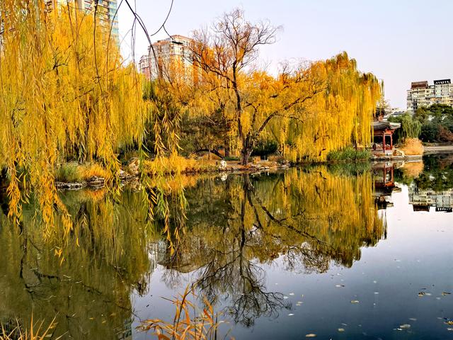 太美了！北京紫竹院如油画般梦幻