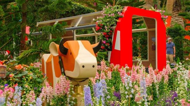 把阿尔卑风情搬到新加坡，滨海湾花园首办瑞士主题花展