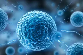 首款无激素男性避孕药或将问世：正进行二次人体临床试验图片