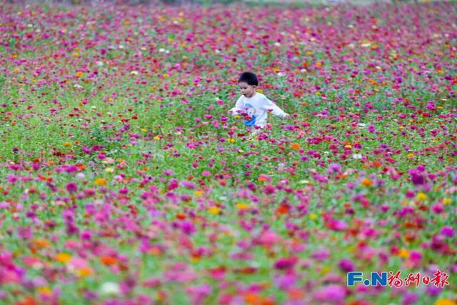 美得像春天！被福州的“蓝绿”治愈了！