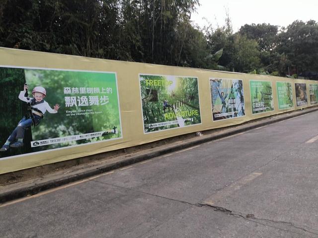 风穿林叶绳渡树间 龙岗园山这片营地邀您体验“飞檐走壁”