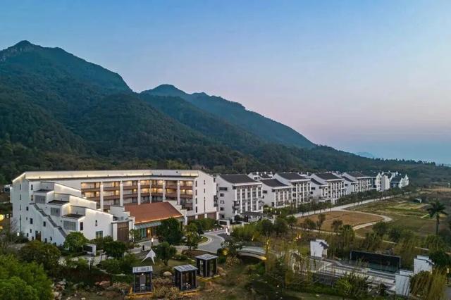 广东新晋网红地！浪漫花海、直升机飞行、地道美食…三水这个地方藏不住了