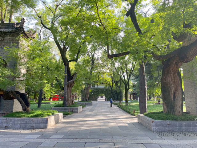 “大美故乡”第11站丨陕西西安