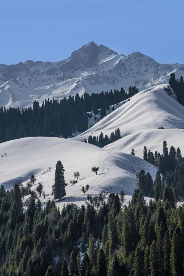 春节9天假，去这玩就够了！