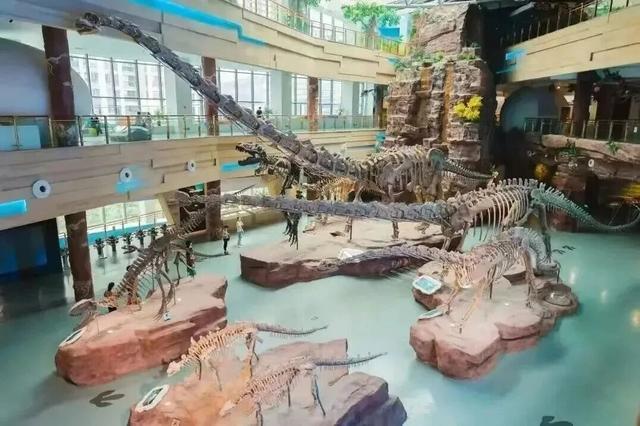 宝藏安徽各有一套！蜀山总有您，喜欢的那一套！