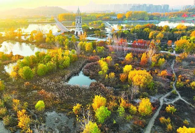 美到窒息！初冬的石家庄滹沱河畔，随手一拍便是大片