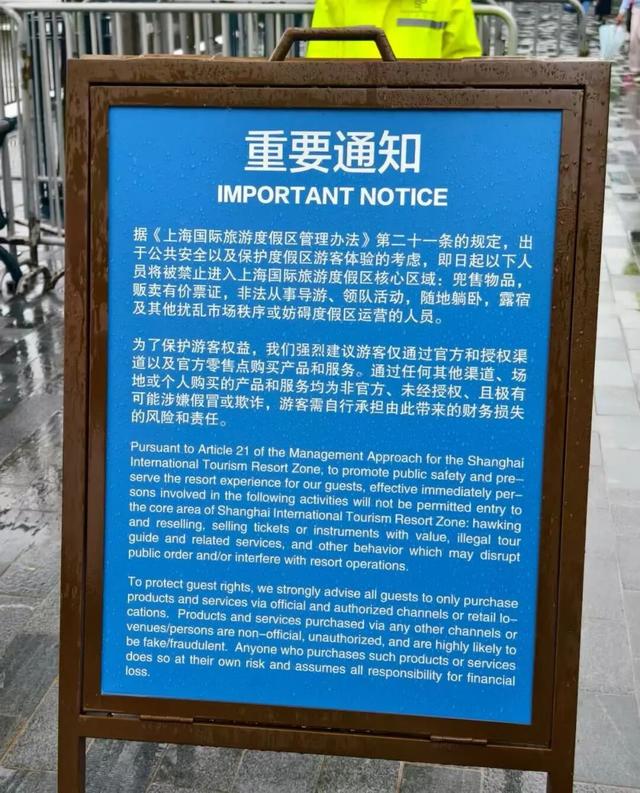 “野生”带玩管家出没迪士尼，从日赚上千卷到350元！专家看到的却是500亿元“陪伴经济”⋯⋯