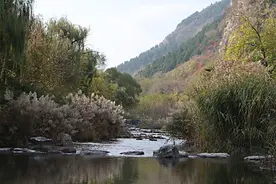 新视界｜藏龙涧：峡谷深涧鬼斧神工 危崖生树景色奇崛图片
