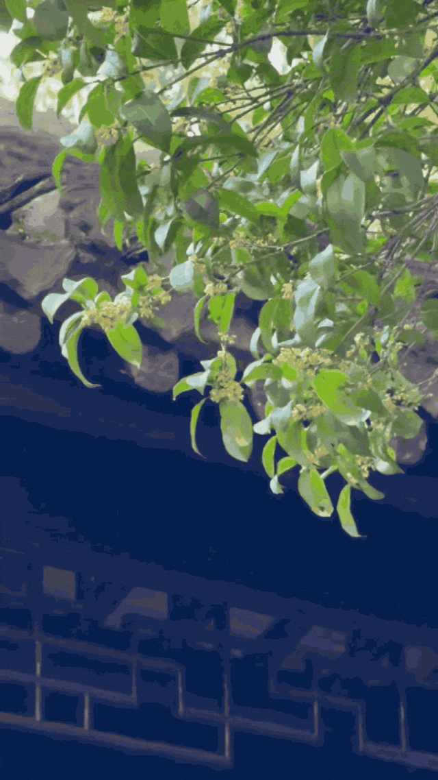 这声“对不起”，泰州人等了半个月！