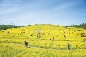 在北京这座“千园之城”：公园里装着都市生活下半场图片