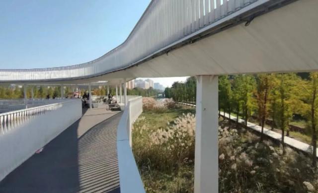 谁还没冲？郑州 “莫奈花园” 上新！