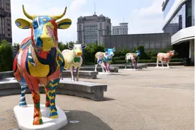 广州珠江边来了“一群牛”，海珠广场星寰再添艺术装置图片