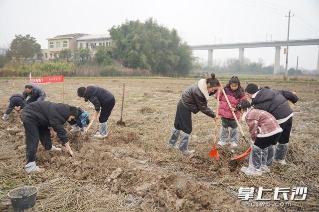热闹不只在元宵，湘江这座江心岛何以“渡未来”？