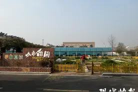 徐州这个“共享菜园”火了，网友点赞：播种幸福收获邻里情图片