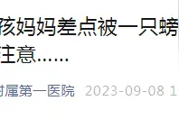 可怕！致死率高！福建一男子吃生腌海鲜后竟失去一条腿图片