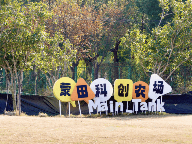 不知道去哪遛娃？来这里呀！