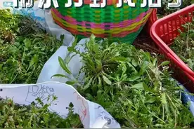 挖挖挖！南京很多人出动了……图片