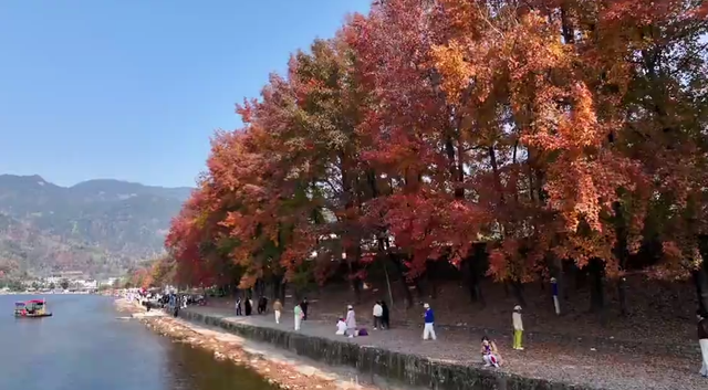 浙里“枫”光正好！多地红叶进入最佳观赏期 解锁秋冬限定浪漫