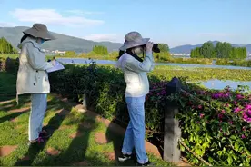 AI识别！无人机航拍+计算机智能识别！滇池鸟类调查用上“黑科技”图片