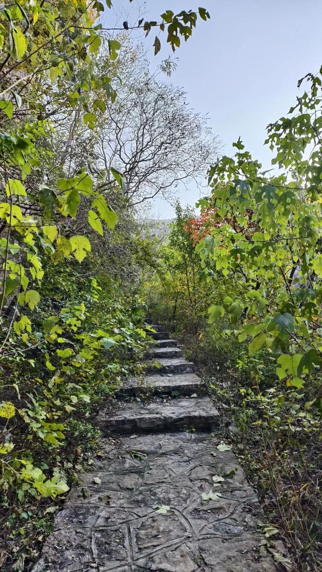 9.9元！深秋里寻一处静谧！本周六出发，打卡长清王泉摩崖石窟、义静寺！