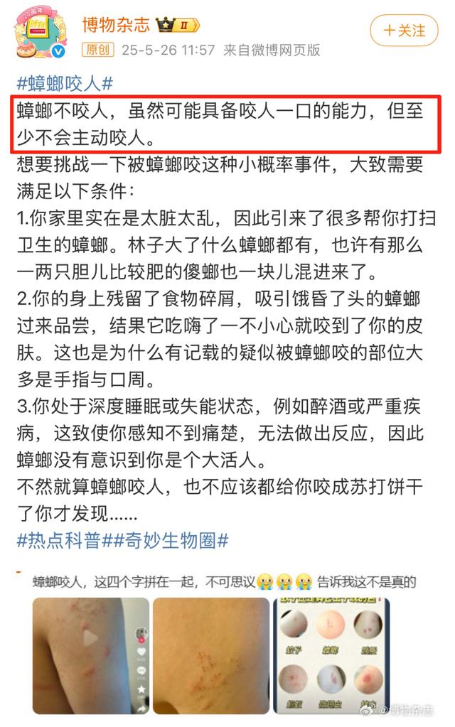 头皮发麻！蟑螂会咬人？专家说……