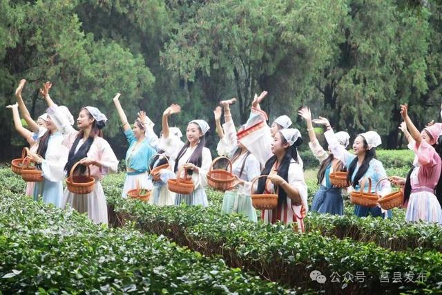 日照莒县：文旅市场热潮涌活力足