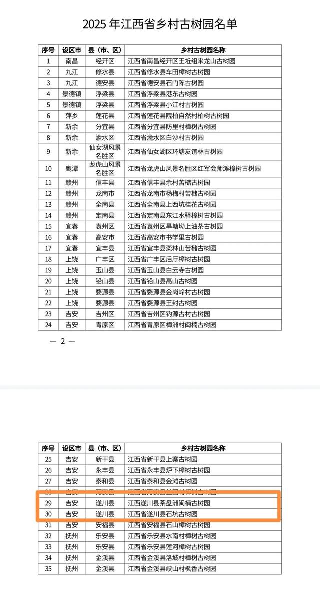 【遂川乡村游】“不去衙前看猛楠，游遍遂川也枉然”附新江古树秘境