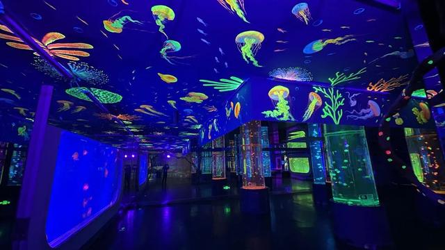 全国女士免费入园！石林·冰雪海洋世界暑期夜场，8月1号盛大开放！女士门票无限，送送送！