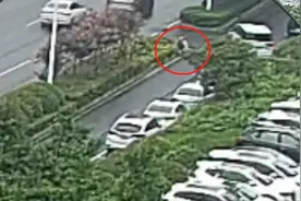 女子骑电动车出事故，被判担责！她为啥还给交警送锦旗？图片