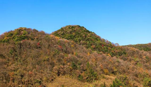 诗画冬日鹤峰：高原大地似锦绣